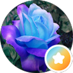 Profile photo of Dafavored1 R