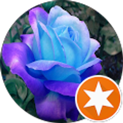 Profile photo of Dafavored1 R