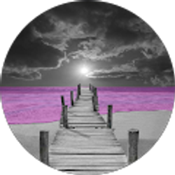 Profile photo of Steve N