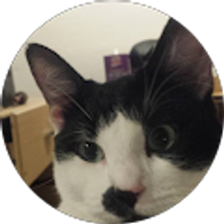 Profile photo of Ryan Shinnick