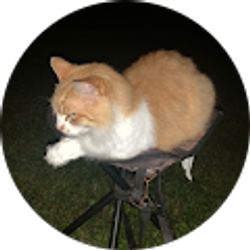 Profile photo of Jane Flanary