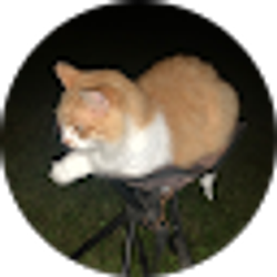 Profile photo of Jane Flanary