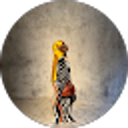 Profile photo of Treasure Olayiwola