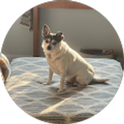 Profile photo of Ali Donaldson