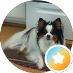 Profile photo of Shannon Corum
