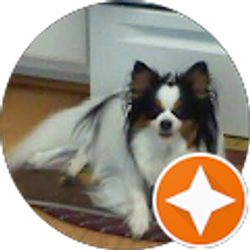 Profile photo of Shannon Corum