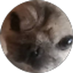 Profile photo of Levi Lee