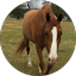 Profile photo of Jen Easters