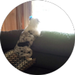 Profile photo of Kathi Seidelman