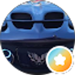 Profile photo of WS6Handiman