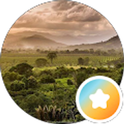 Profile photo of JA CG