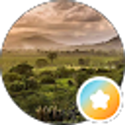 Profile photo of JA CG