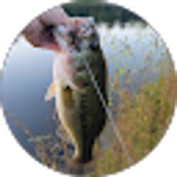 Profile photo of Clayton