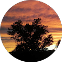 Profile photo of yamilet caraveo