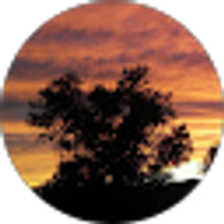 Profile photo of yamilet caraveo