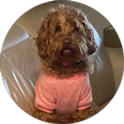 Profile photo of LA S