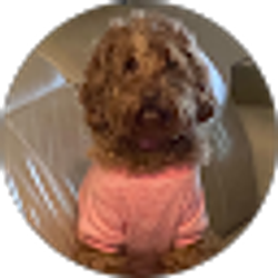 Profile photo of LA S