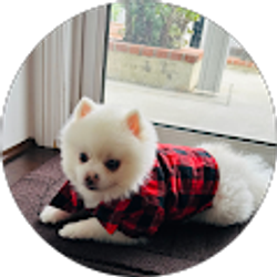 Profile photo of Debbie T