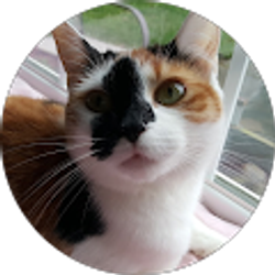 Profile photo of Hilary Magoteaux