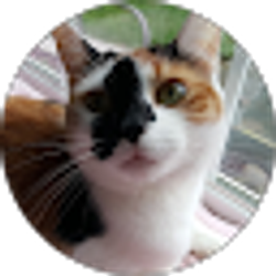 Profile photo of Hilary Magoteaux