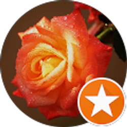 Profile photo of Bo in Alaska