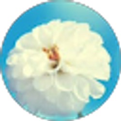 Profile photo of Gevork Bagratyan