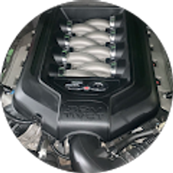 Profile photo of Kameron Ashley