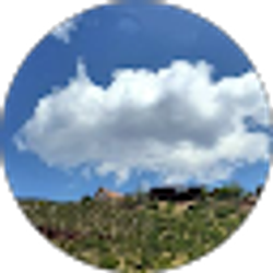 Profile photo of Mak Kin