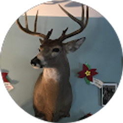 Profile photo of Dave Papic