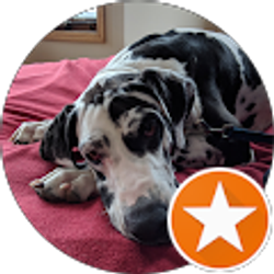 Profile photo of Sean Goehring