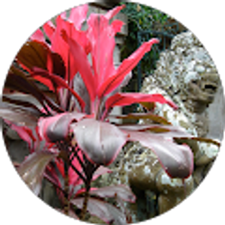 Profile photo of Mikel Farley