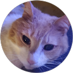 Profile photo of Ruth Less