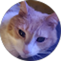 Profile photo of Ruth Less