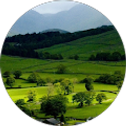 Profile photo of Sam Dubin