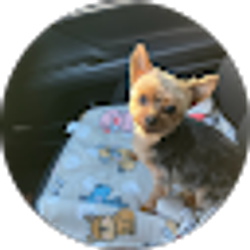 Profile photo of Daryl Dannar