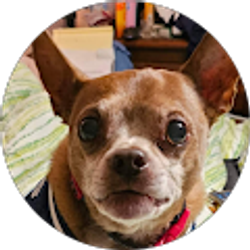 Profile photo of Tammy Mikitsh