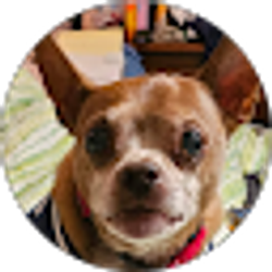 Profile photo of Tammy Mikitsh