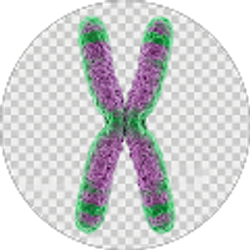 Profile photo of Why Dee