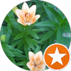 Profile photo of R H