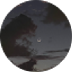 Profile photo of Tay Nianka