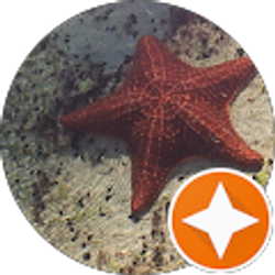 Profile photo of CG Chafin