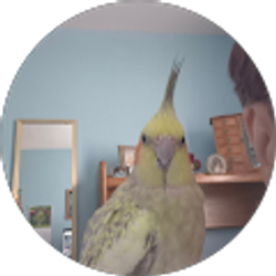 Profile photo of Carol Ball