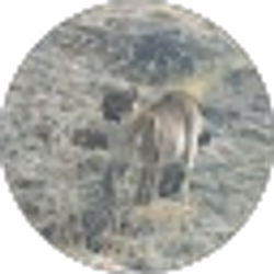 Profile photo of Lee Baker