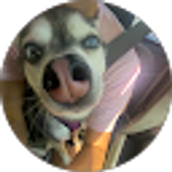 Profile photo of Destinie Ramos