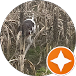 Profile photo of Brandon Roberts