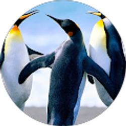 Profile photo of daniel zeng