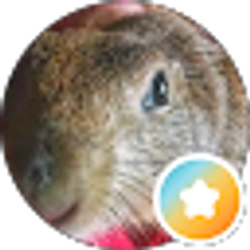 Profile photo of Donald Burch