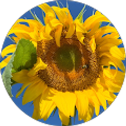 Profile photo of Tina Lemmon