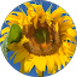 Profile photo of Tina Lemmon