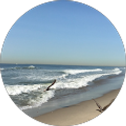 Profile photo of Oksana Chernogor